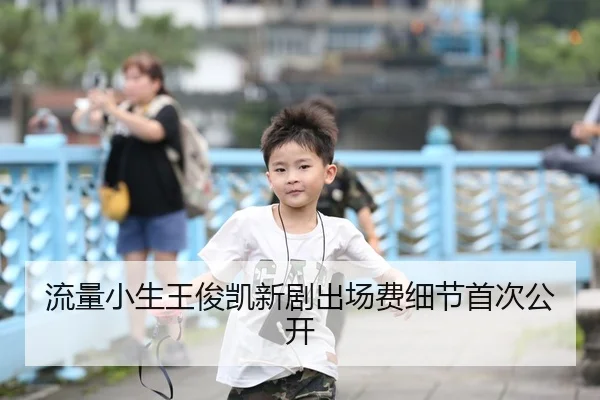 流量小生王俊凯新剧出场费细节首次公开